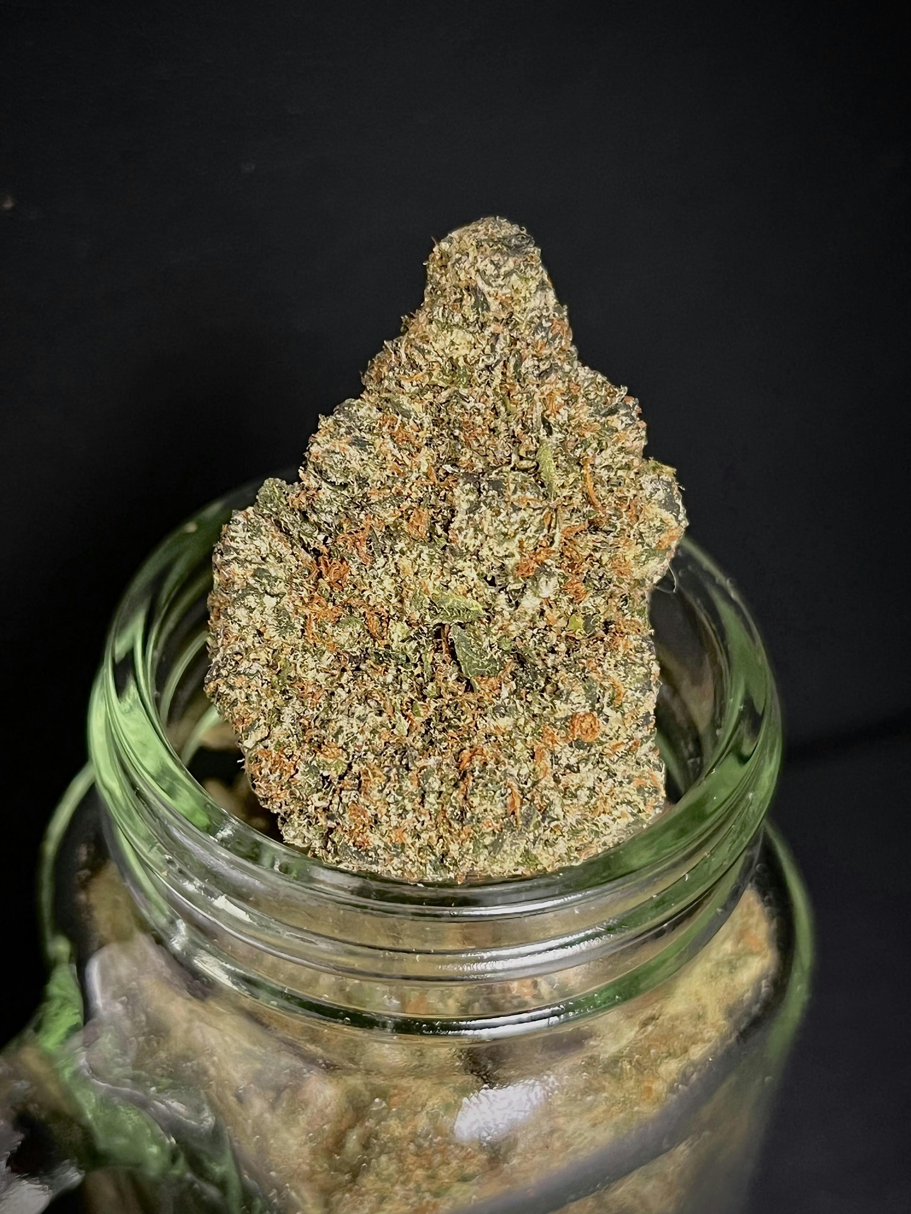 Photograph of product: Mimosa Sunset {Purple Punch x Clementine} (Level 10) (1/2 OZ Bud Special)