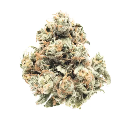 Photograph of product: TAHOE ALIEN