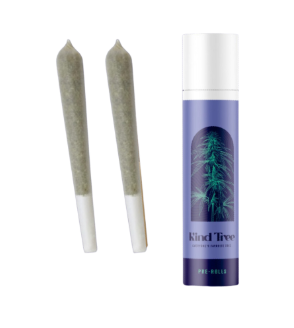 Photograph of product: Kind Tree | Pre-Rolls | Multipack | Cherry Slushee | 0.5g-2pk | 1.0g-Hybrid
