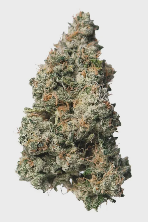 Photograph of product: Flower | Black Maple #22 - 3.5g