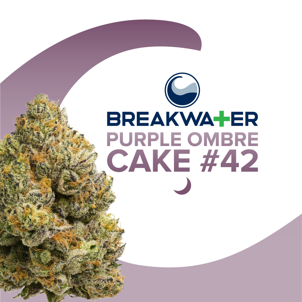 Photograph of product: Purple Ombre Cake #42 Premium Flower - 7g