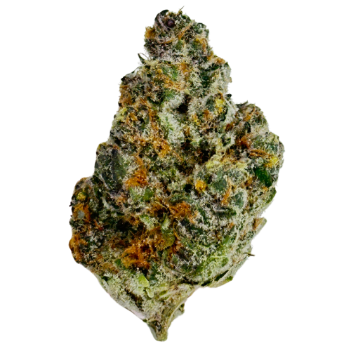 Photograph of product: MJ Verdant Tangerine Dream Pre-Packed 3.54g