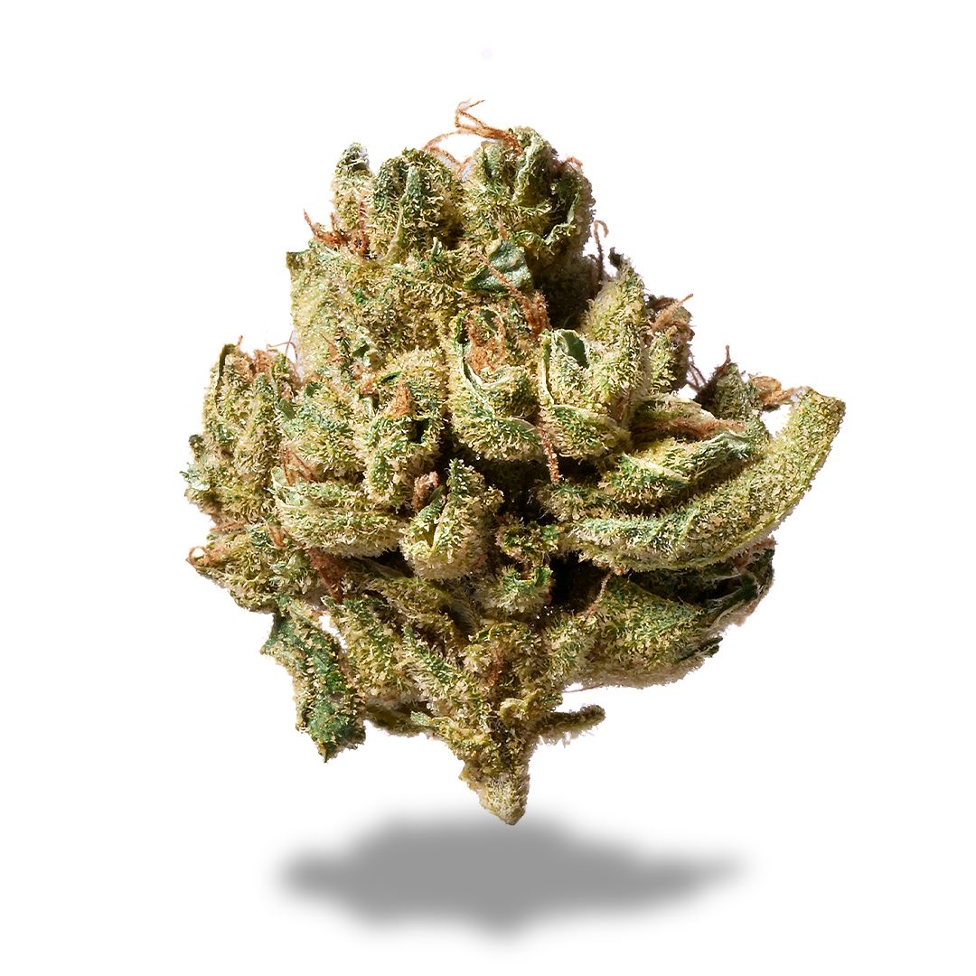 Photograph of product: Granddaddy Purple 3.5g - PHAS3 (Pre-Pack)