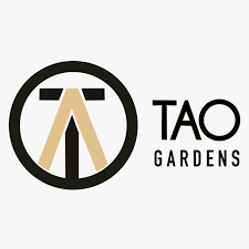 Photograph of product: Tao Gardens | Deadhead OG - 28g