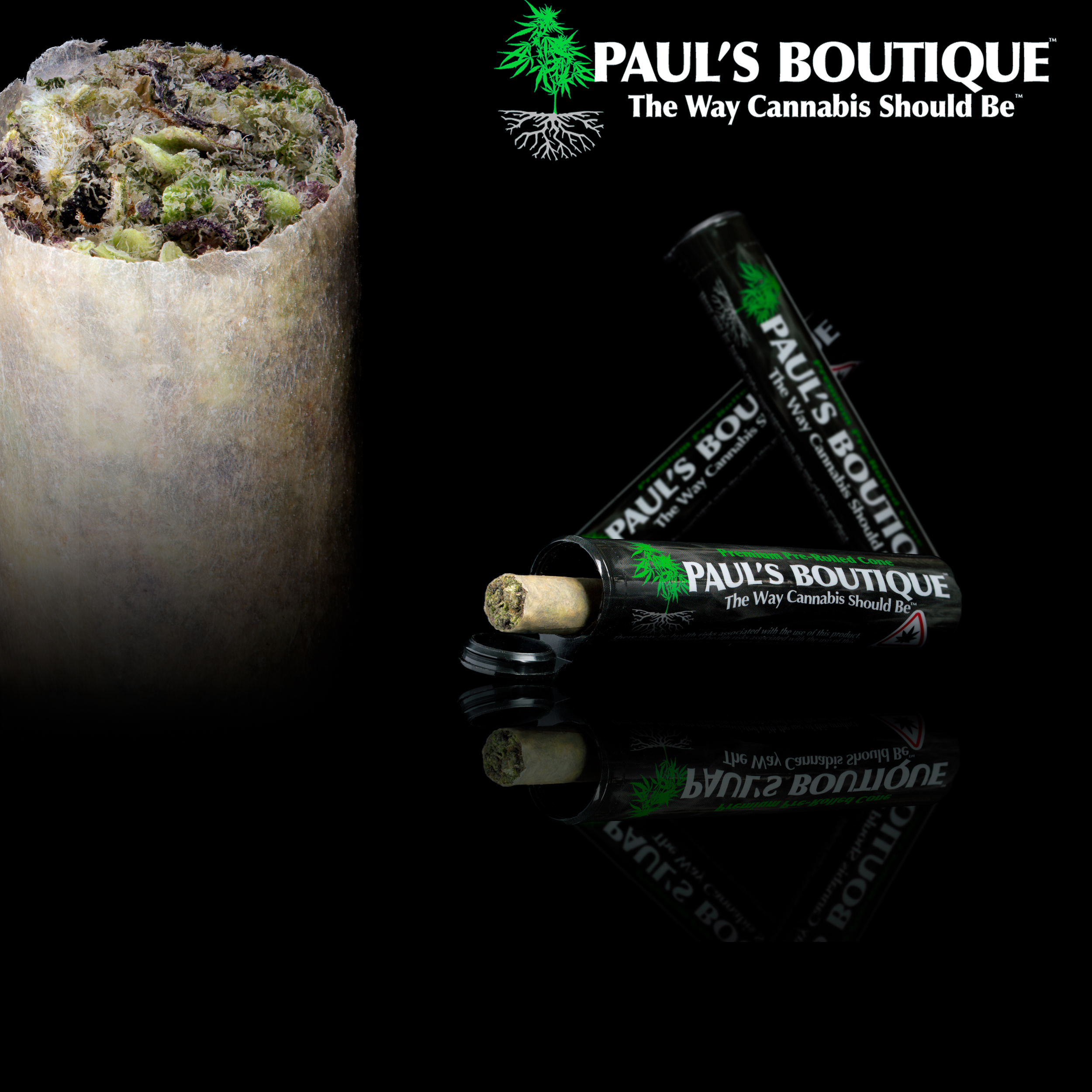 Photograph of product: Paul's Boutique - Gastopia Pre-Roll