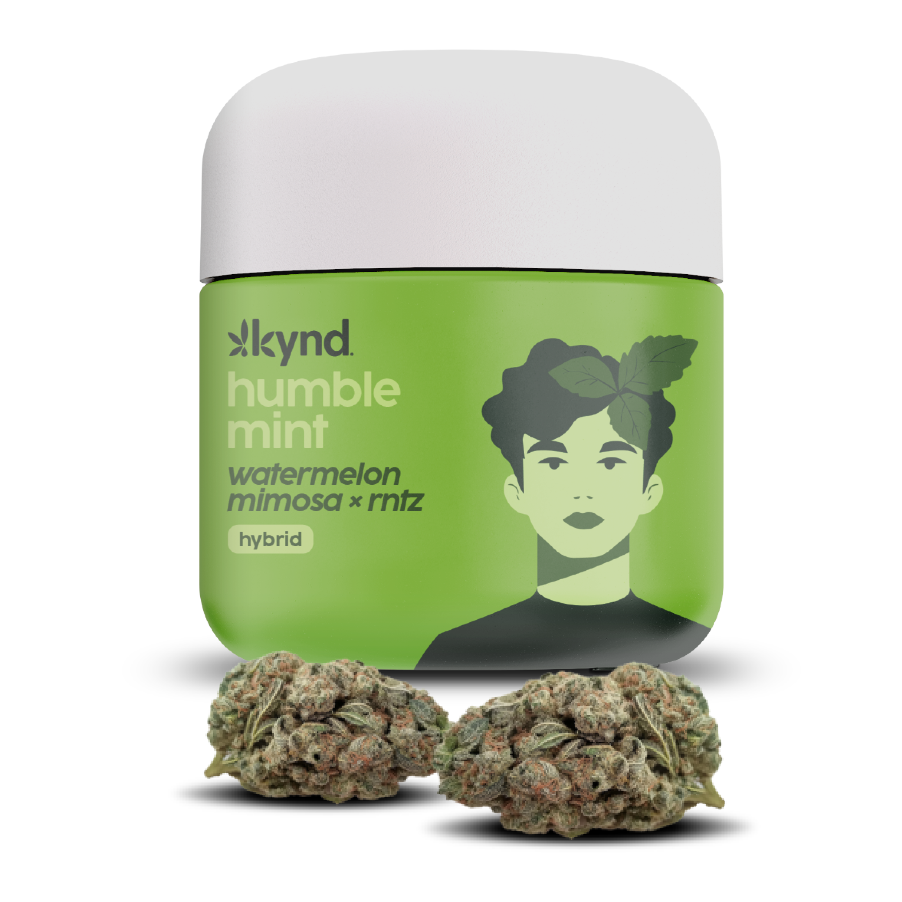 Photograph of product: Kynd Humble Mint (H) Flower 3.5g