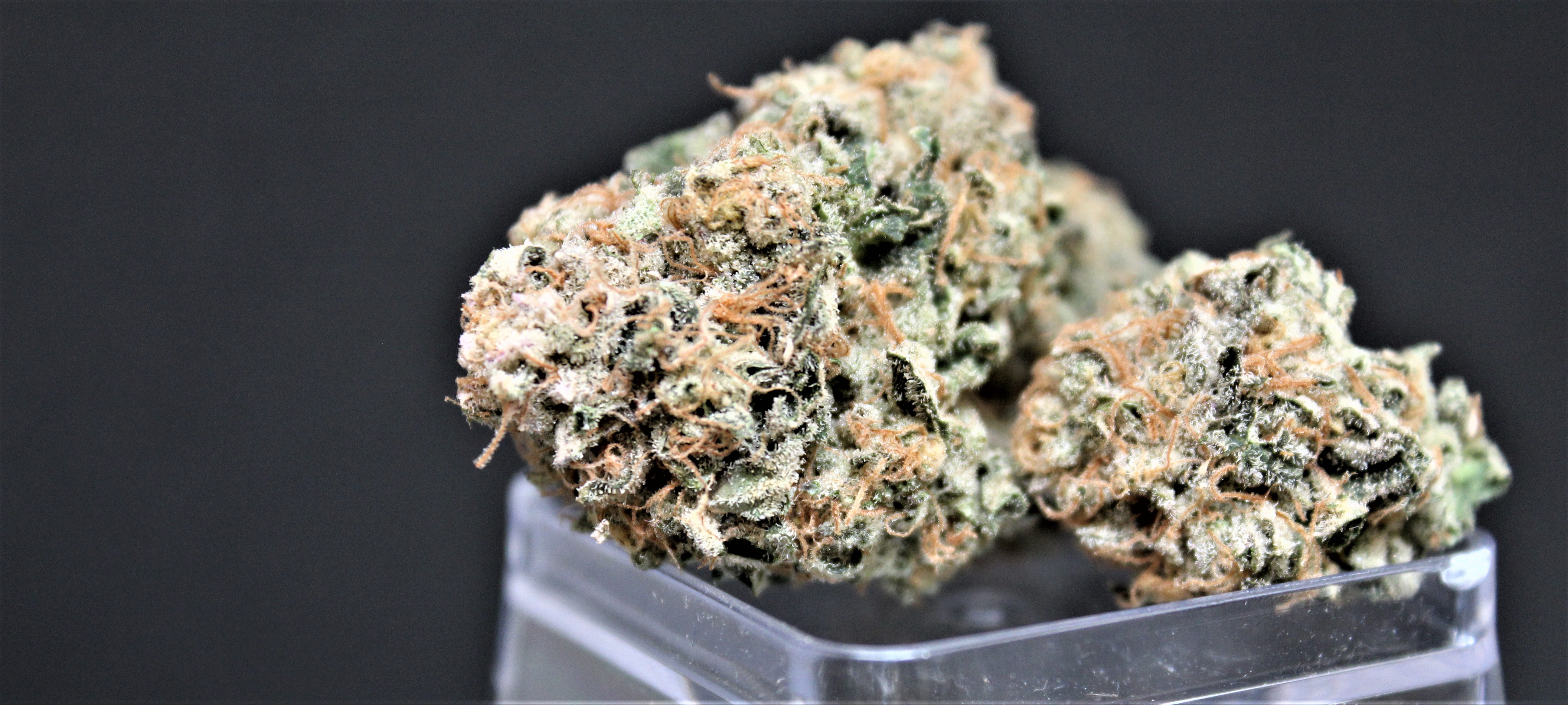 Photograph of product: Wedding Cake - 3.5g