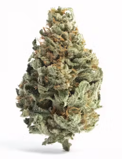 Photograph of product: Flower | Pineapple Haze - 7g