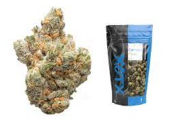 Photograph of Product: XOTX - Bubble Gum Runtz - 14g
