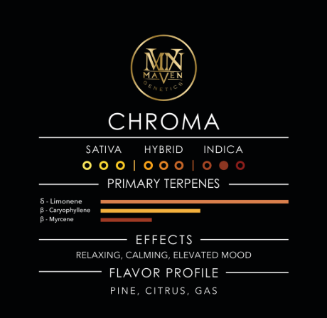 Photograph of product: Maven - Preroll - CHROMA - 5 pack