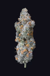 Photograph of product: Cape Cod Grow Lab - Lion's Breath - 3.5g