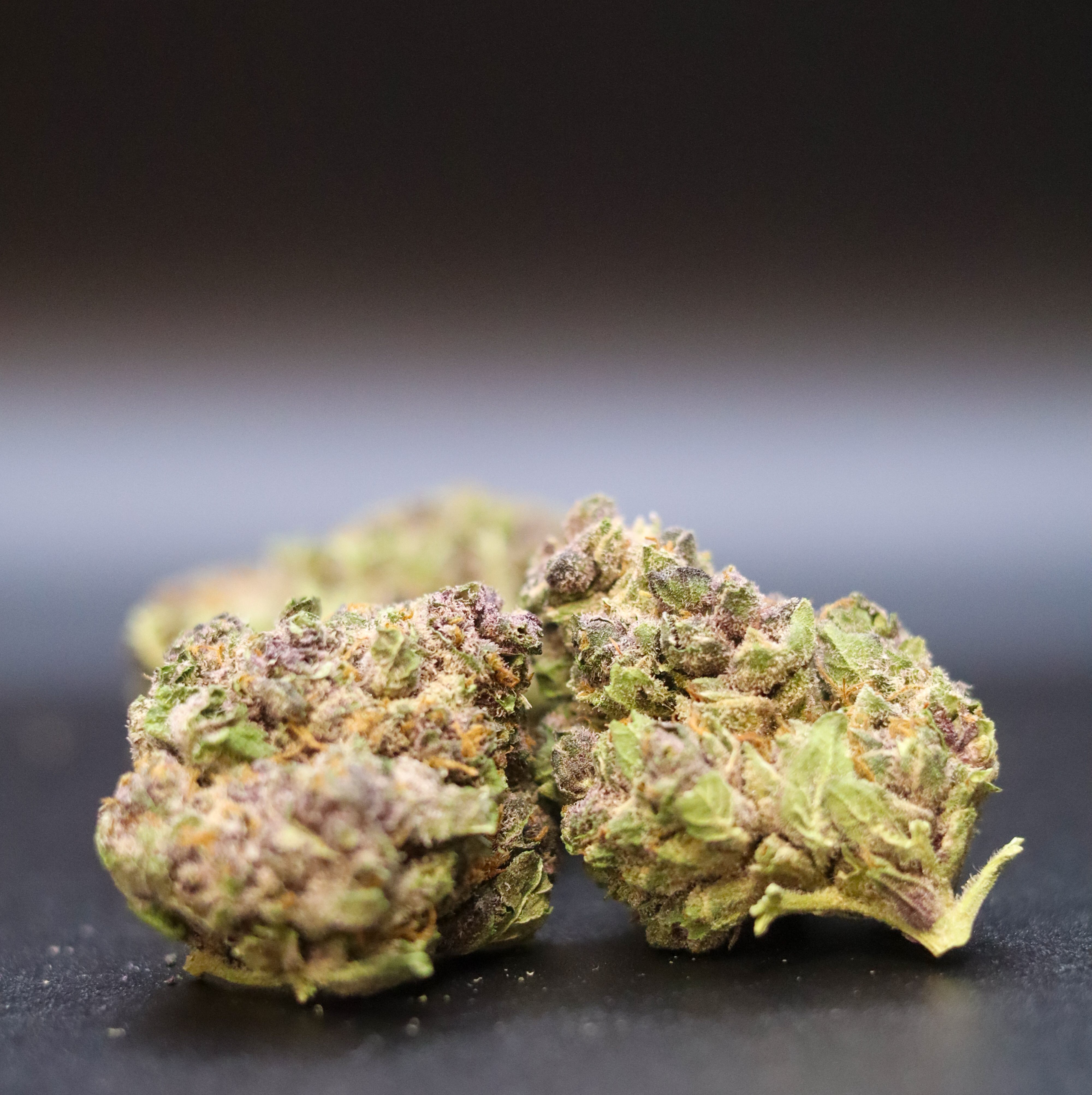 Photograph of product: Silver Shelf - Blueberry Haze (S) - 28g