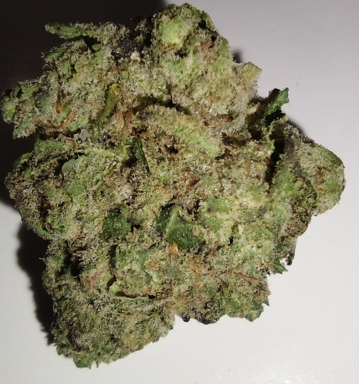 Photograph of product: Belushi's Farm - Hashburger - 3.5g - Flower