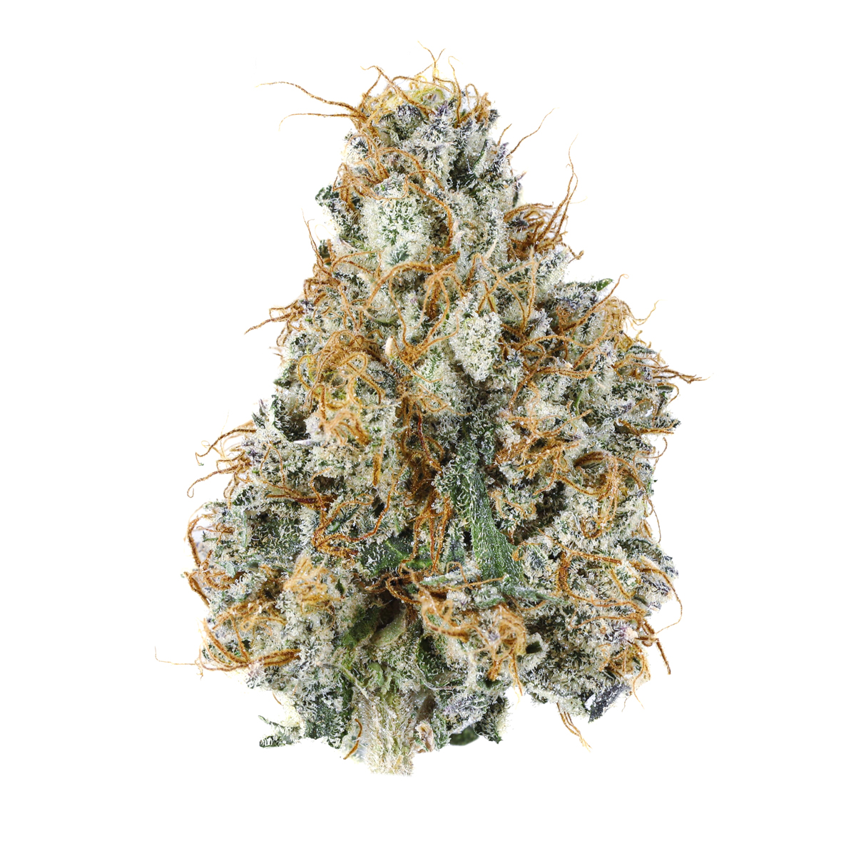 Photograph of Product: Watermelon Milkshake (Indica/Hybrid Flower)