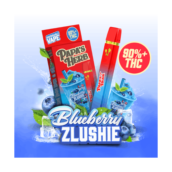 Photograph of product: Blueberry Zlushie | 1g AIO - 