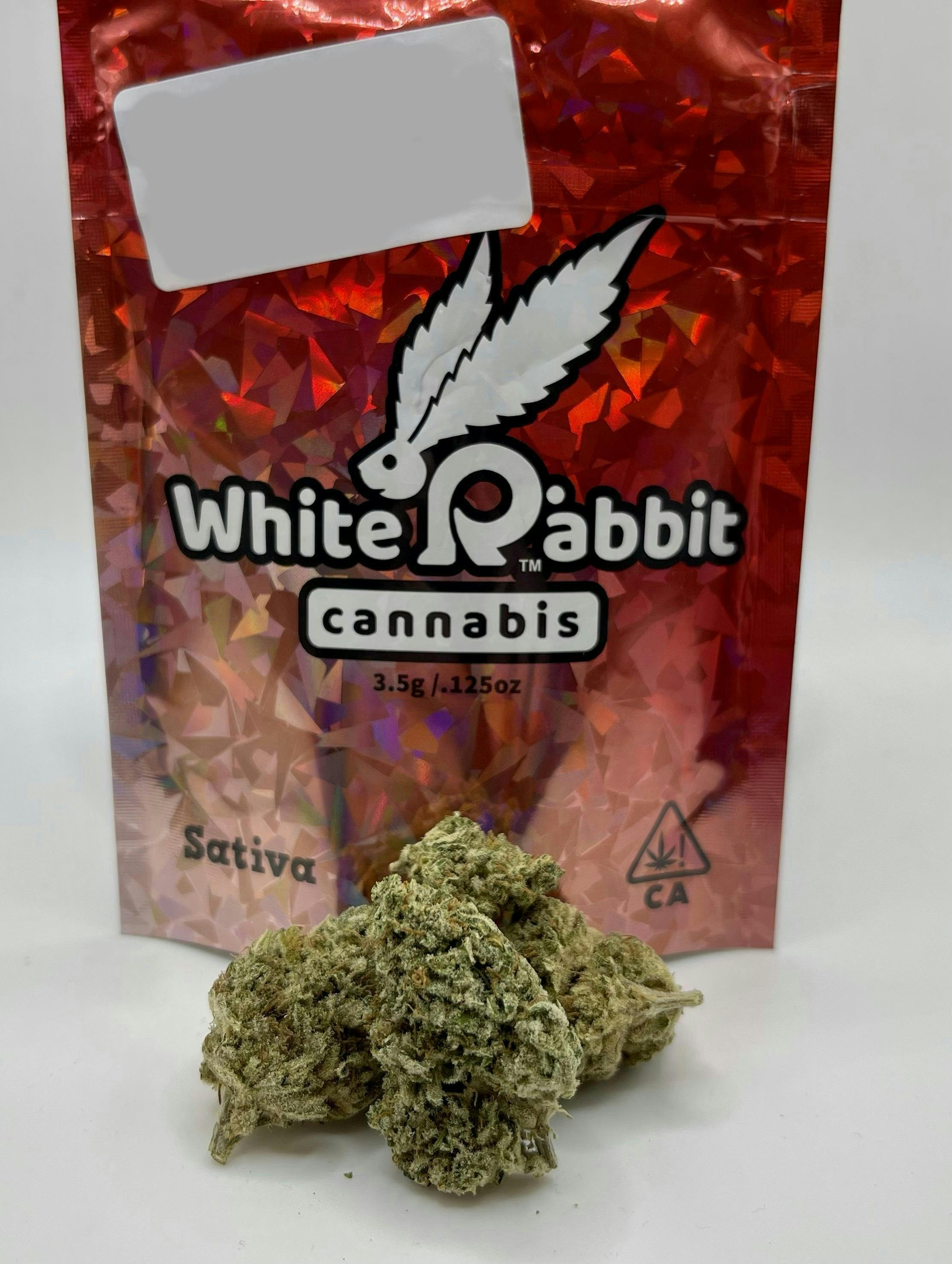 Photograph of product: White Rabbit Green Ribbon $40