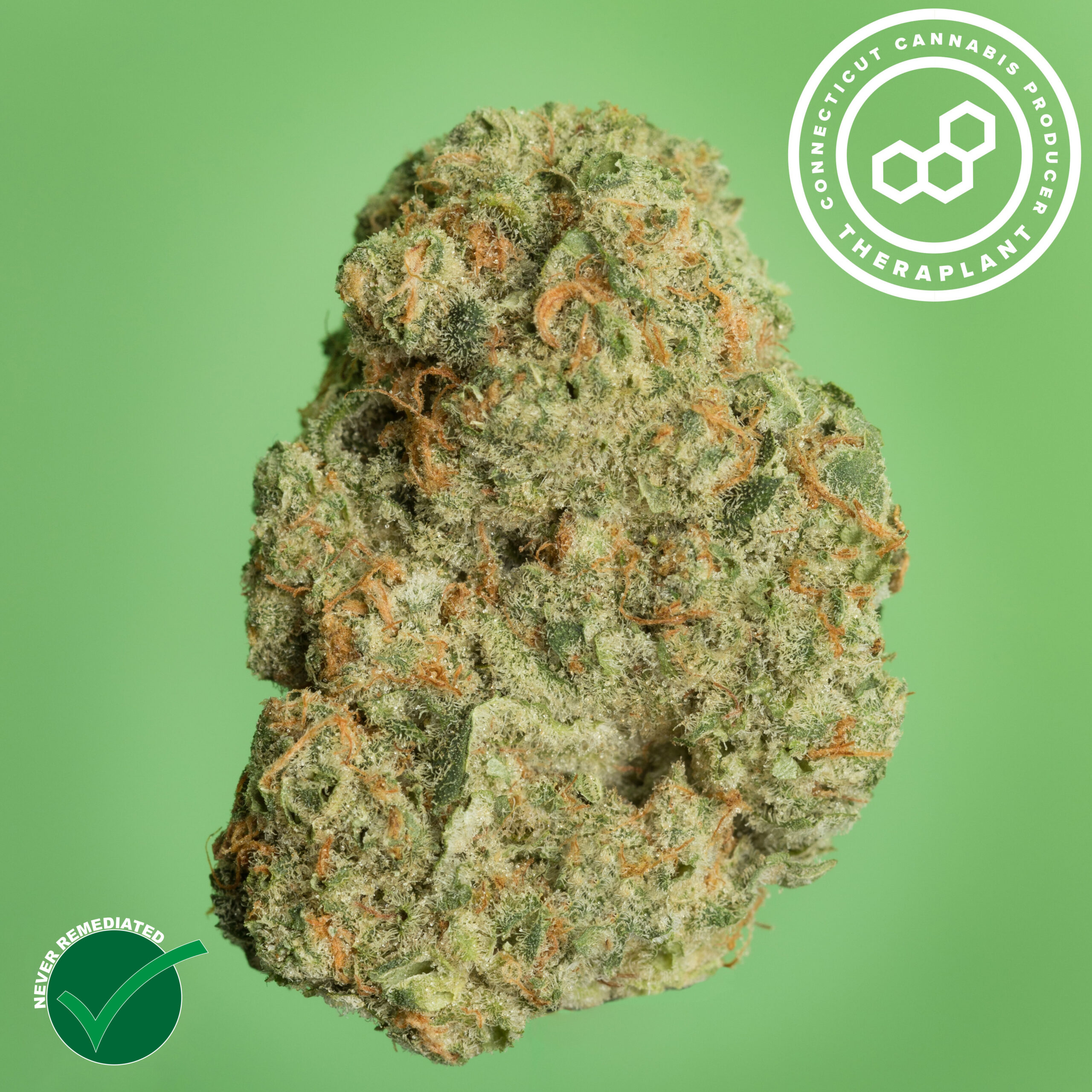 Photograph of product: THERAPLANT | Banapple Medellin | Flower | 3.5g