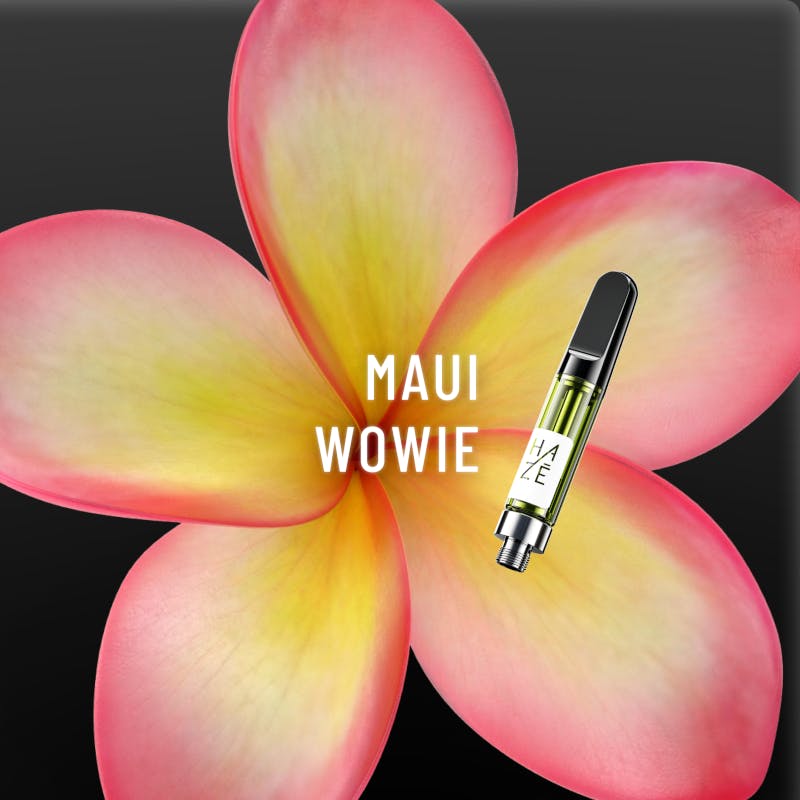 Photograph of product: NEXT1 - 1g MAUI WOWIE HAZE - DISTILLATE VAPE