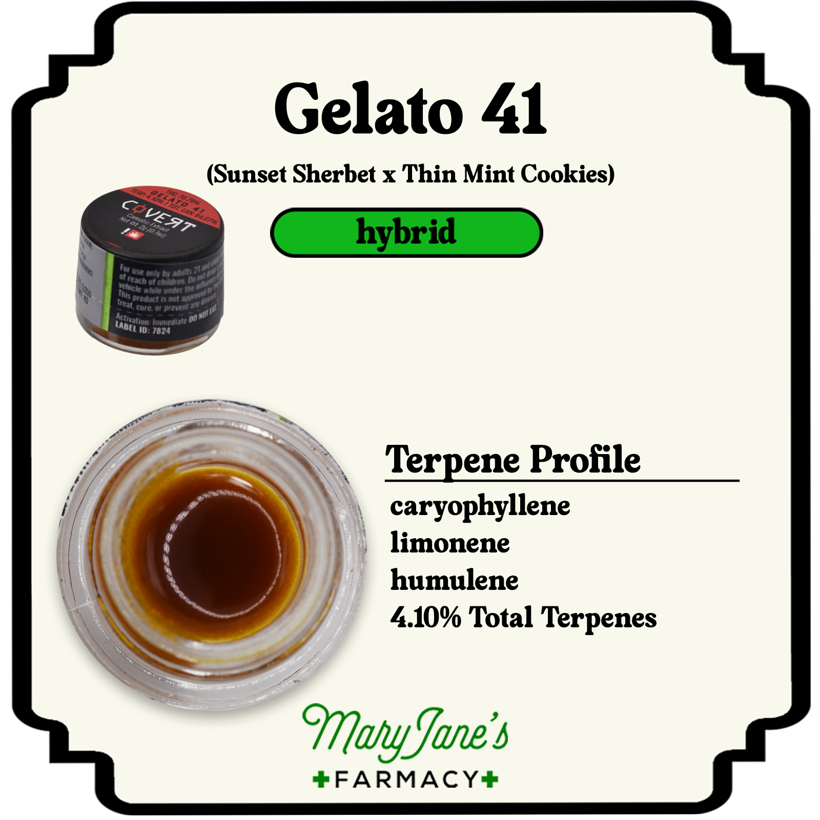 Photograph of product: Gelato 41 Sugar Sauce Extract | 2g