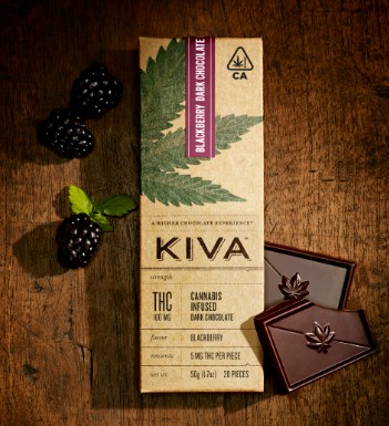 Photograph of product: Dark Chocolate Blackberry Bar | 100mg
