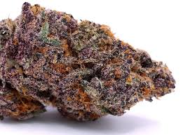 Photograph of product: Alaskan Thunder Fuck Flower - 1g