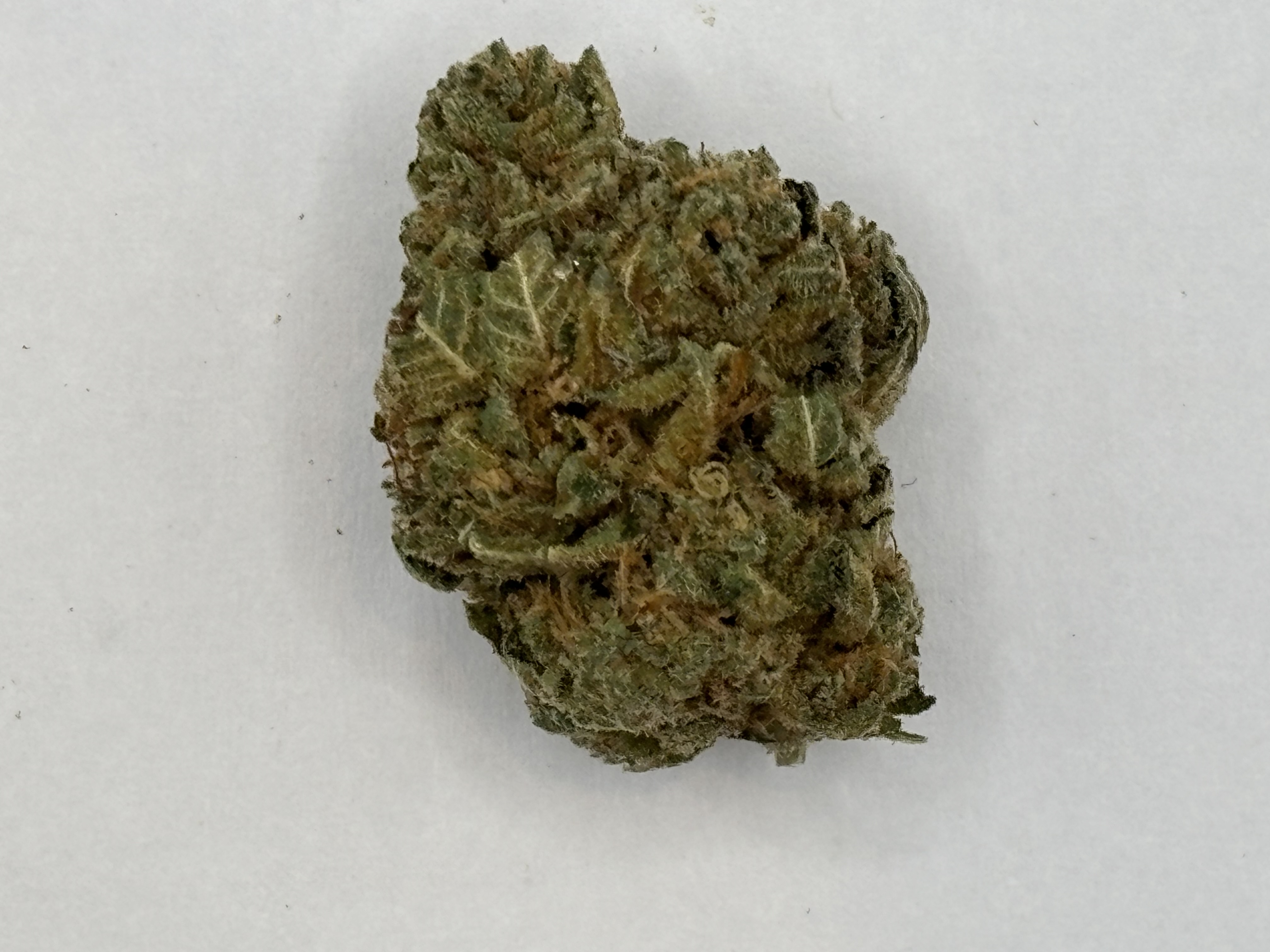 Photograph of product: Jet Fuel Gelatto - 1g