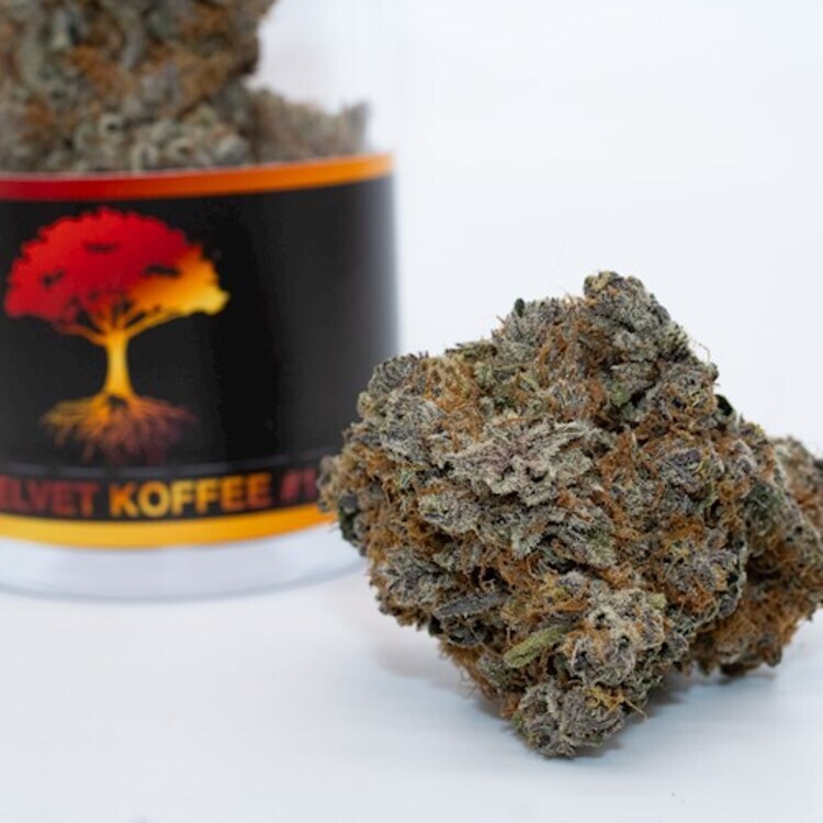 Photograph of product: BLUR Flower - Velvet Koffee 3.5g