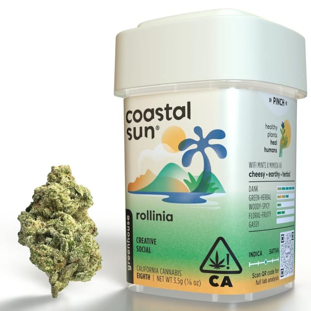 Photograph of product: Rollinia | 3.5g Flower