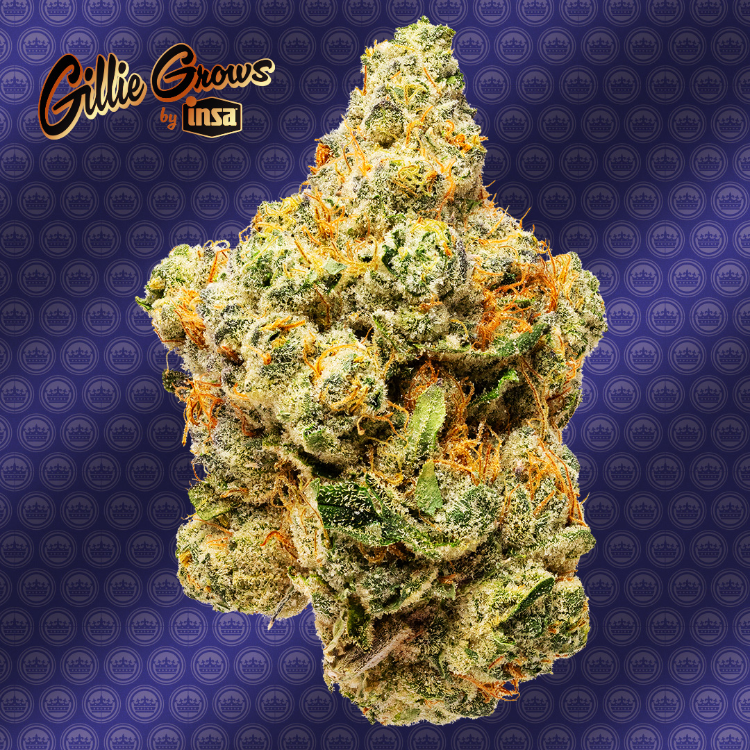 Photograph of product: Gillie Wnka Whole Flower 3.5g
