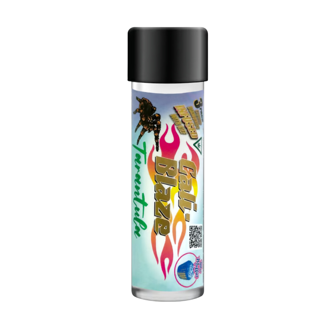 Photograph of product: Cali Blaze - 3pk Tarantula - Blue Muffin