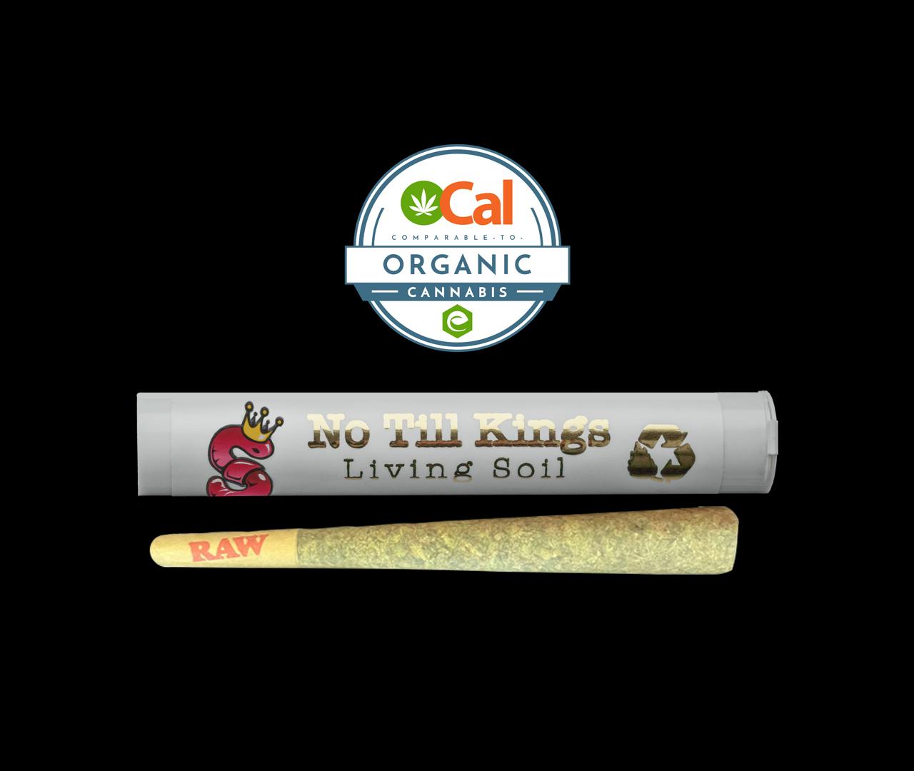 Photograph of Product: Super Silver Haze Pre-Roll No Till Kings