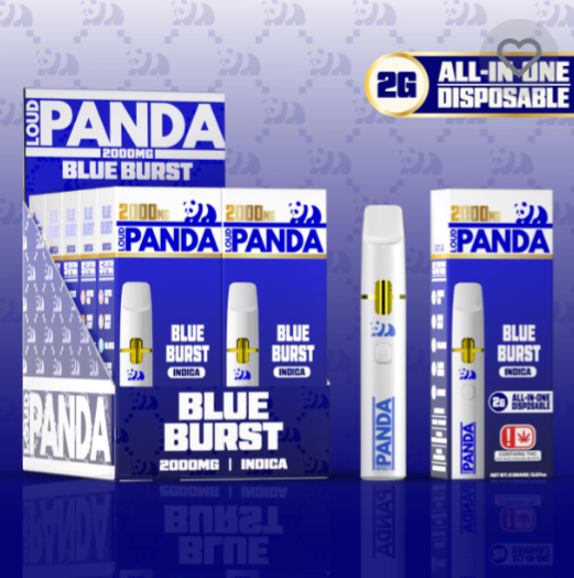 Photograph of product: Loud Panda M Disposable Cartridge | Blue Burst | (I)