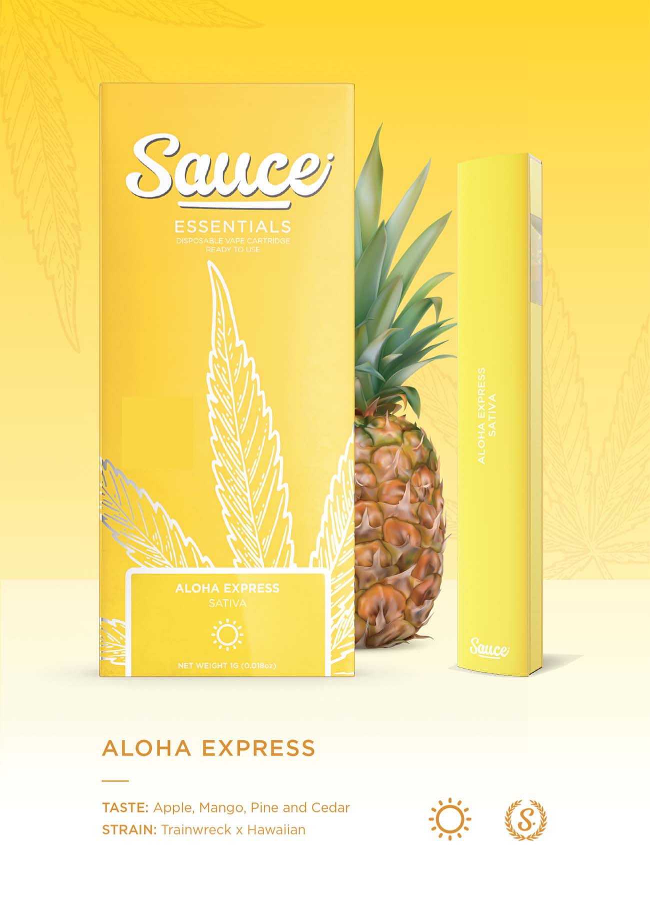 Photograph of product: Aloha Express Sauce Bar | 1g (REC) 5/$100