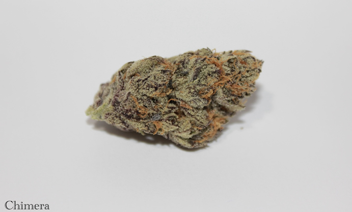 Photograph of product: Roemer Farms Flower - Chimera - 3.5g