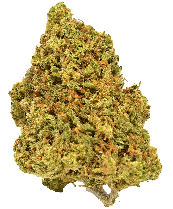 Photograph of product: Sierra Sungrown | Green Gift Gardens | Benzina | 3.5G