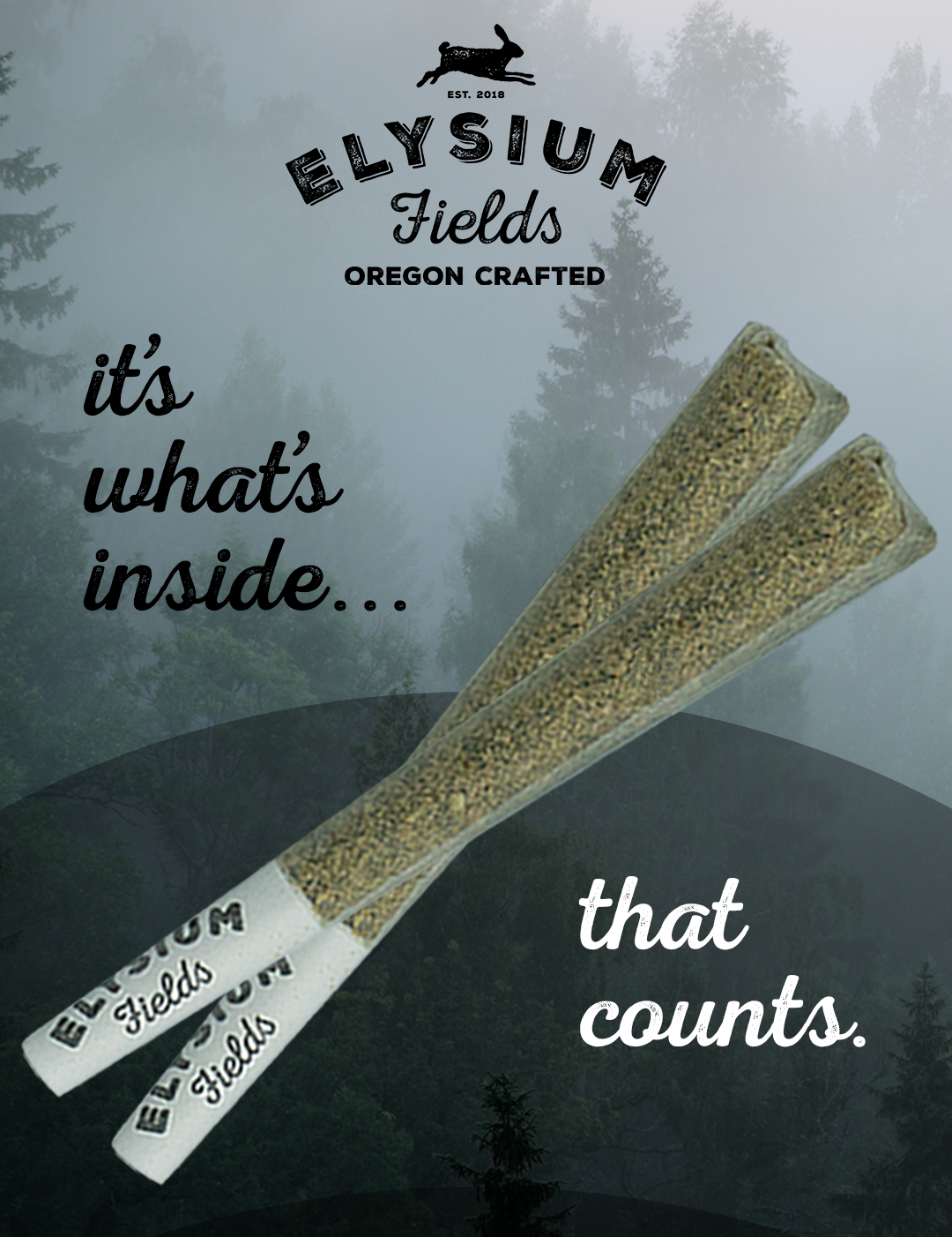 Photograph of product: Eletric Daydream Infused Pre-Roll | 1g