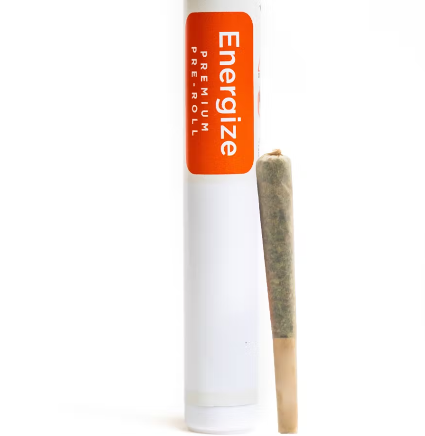 Photograph of product: Infused | Berry Gelato | 1g