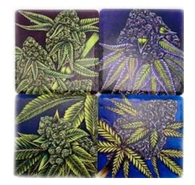 Photograph of product: Coaster