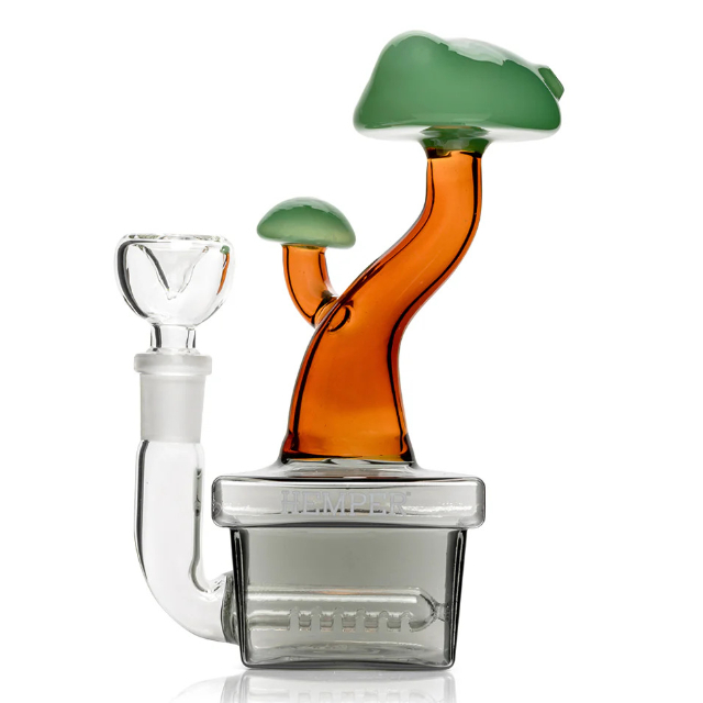 Photograph of product: BONG | BONSAI