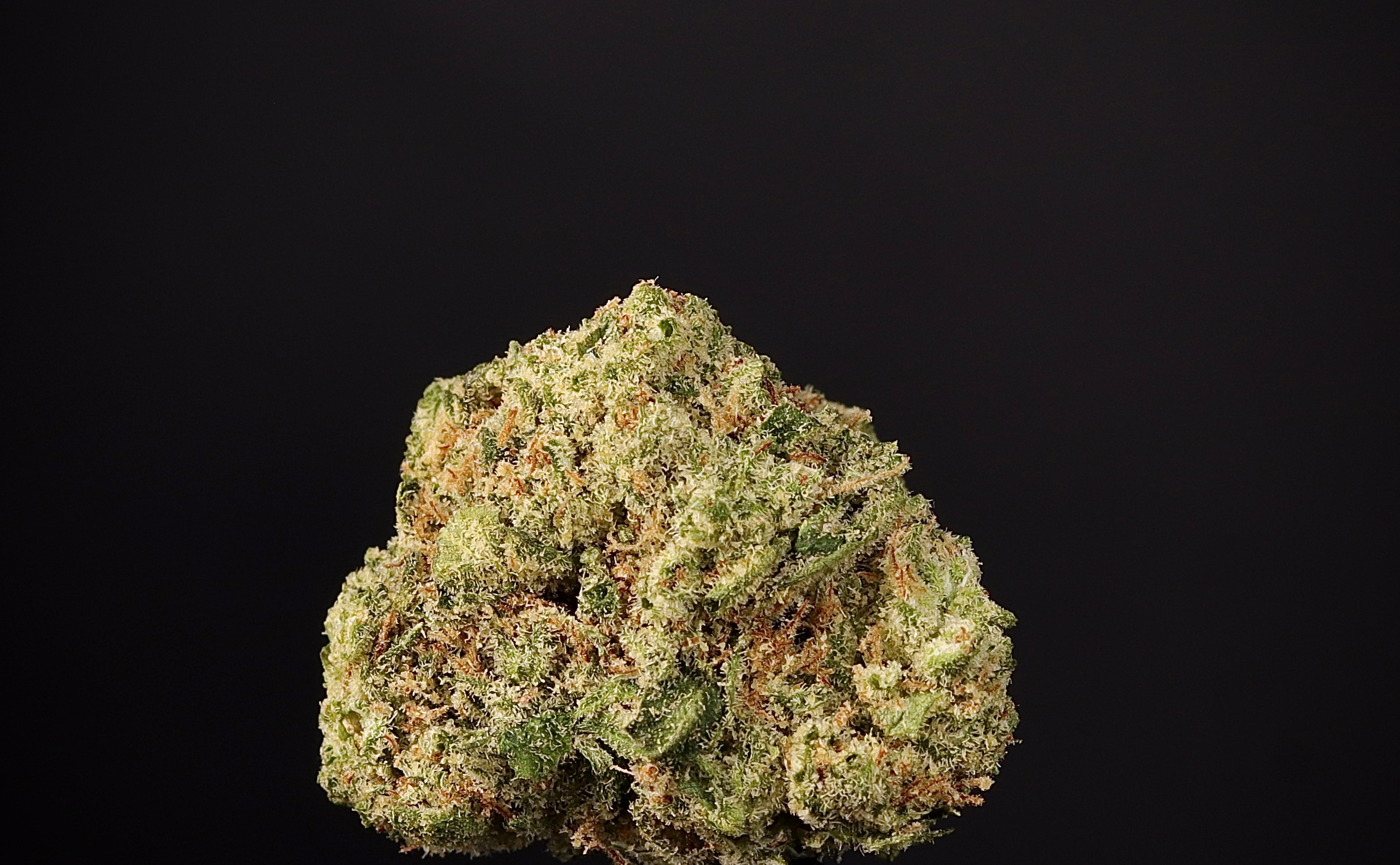 Photograph of product: White Durban 1g - Landrace Oui'd Co.
