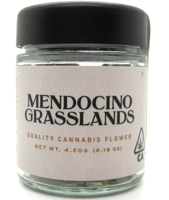 Photograph of product: Garlic Mints (4.2g)[I]