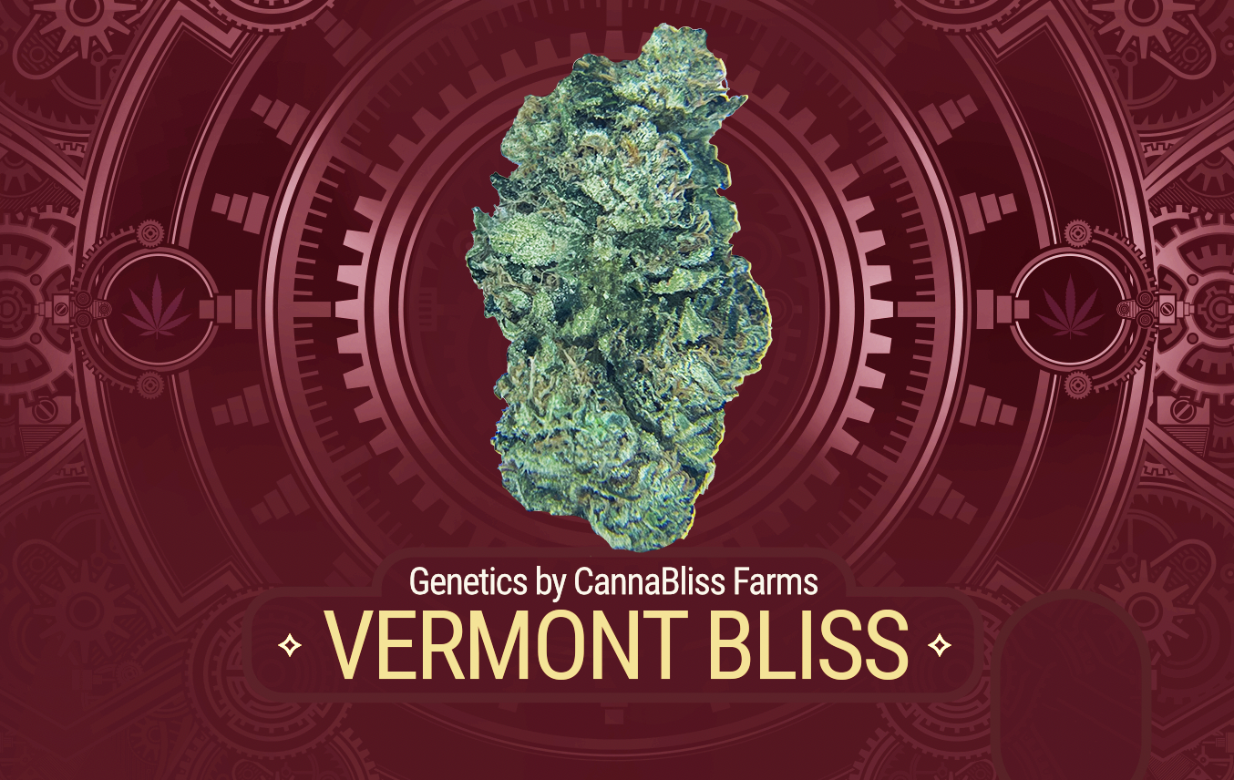 Photograph of product: Vermont Bliss - 7g