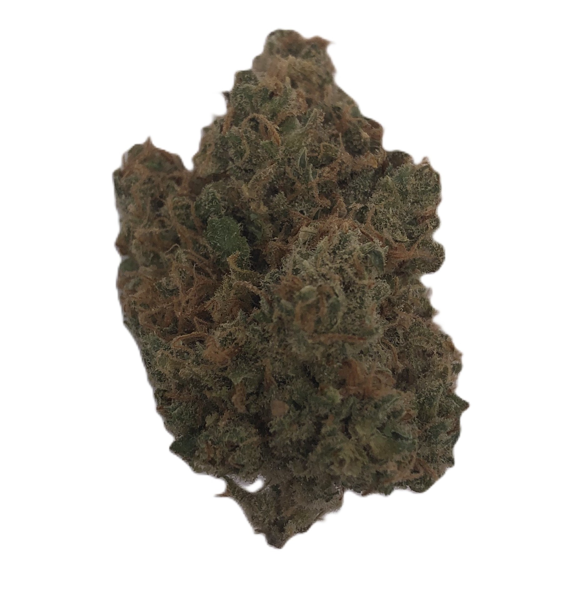 Photograph of product: Pruf Cultivar Golden Lemon Juice - 28g