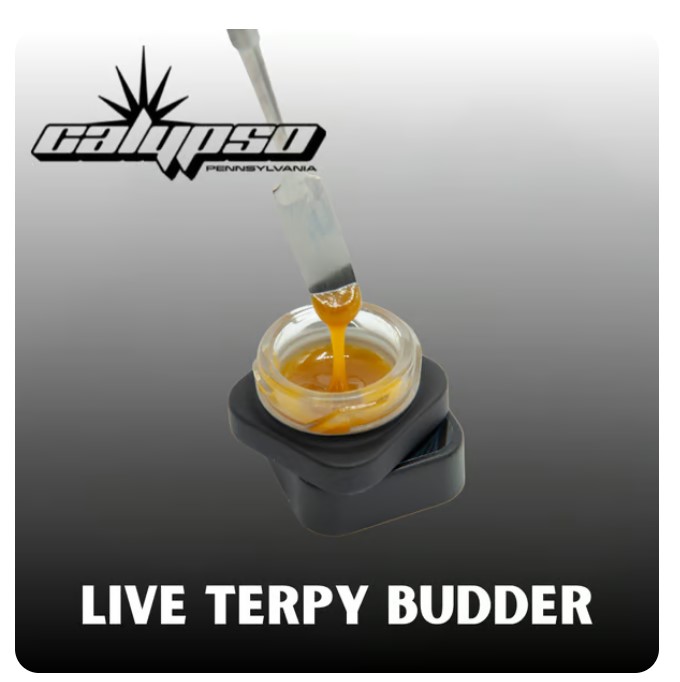 Photograph of product: Lemon Cherry (LC) Cookies Live Resin Terpy Budder | 4g