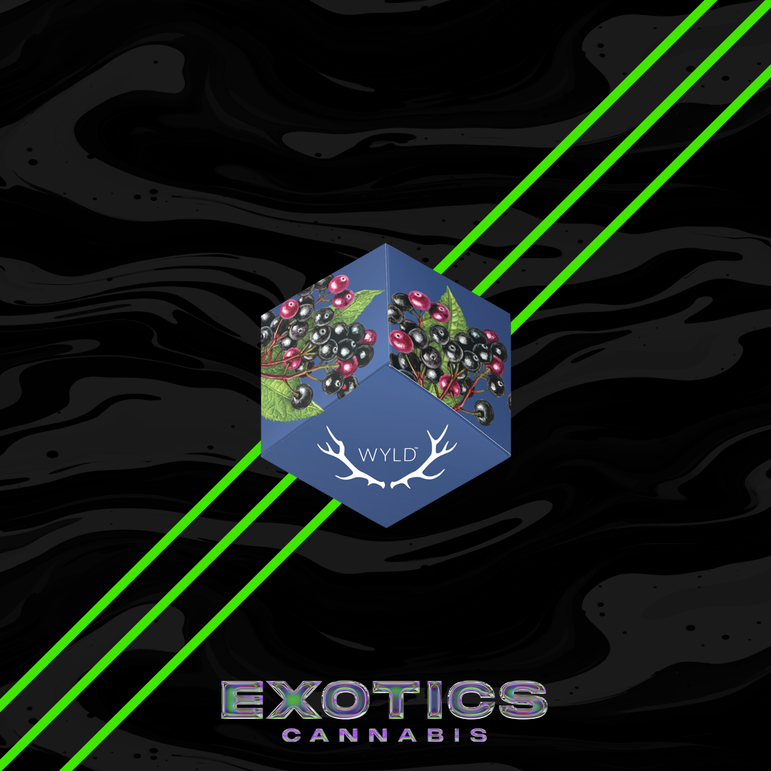 Photograph of product: Wyld - Elderberry 4:1 TH-oui:CBN Gummies 200mg