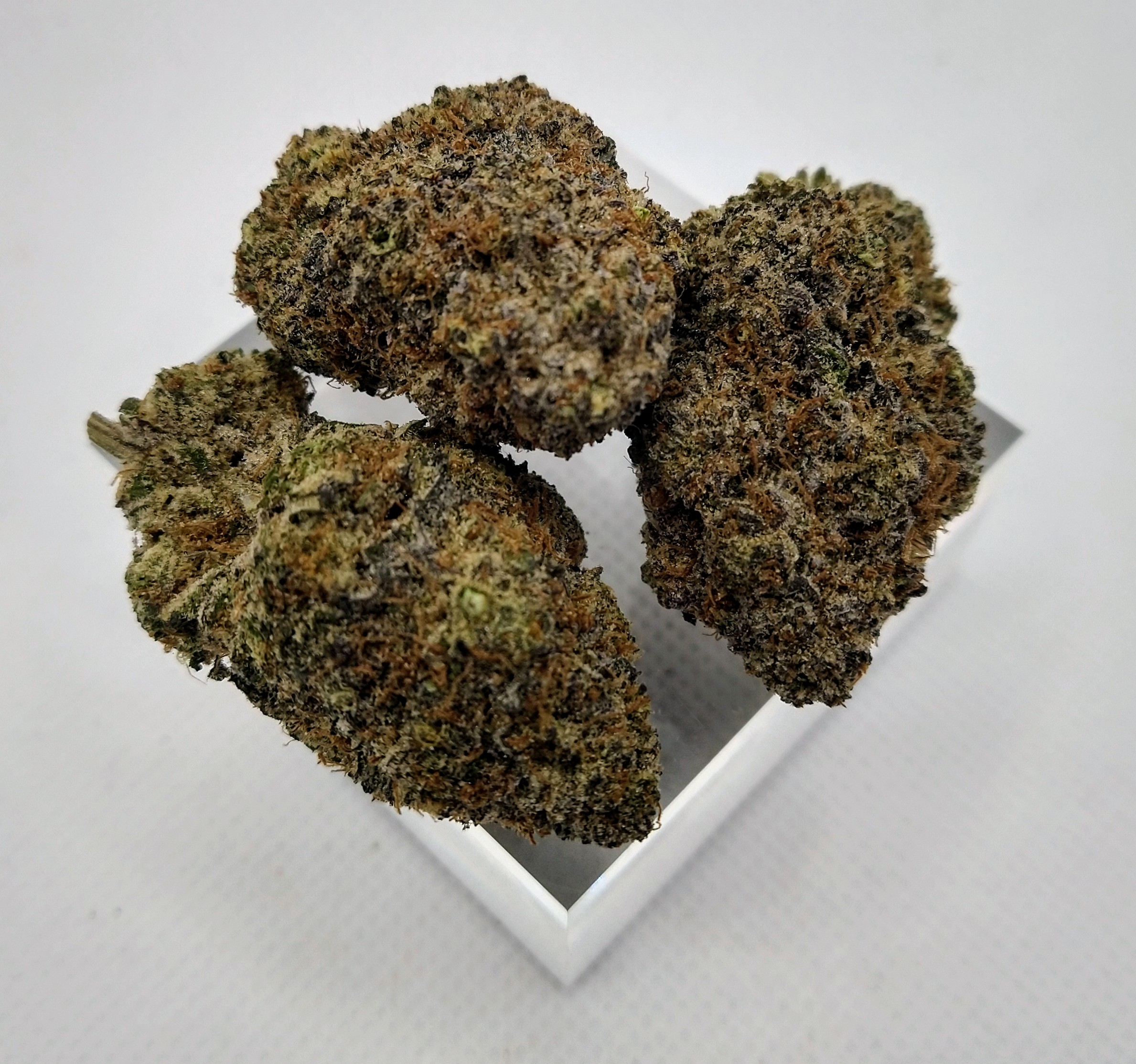 Photograph of product: Good Nature | Gorilla Glue | Hybrid | Bulk Flower | Bees Knees - 28g