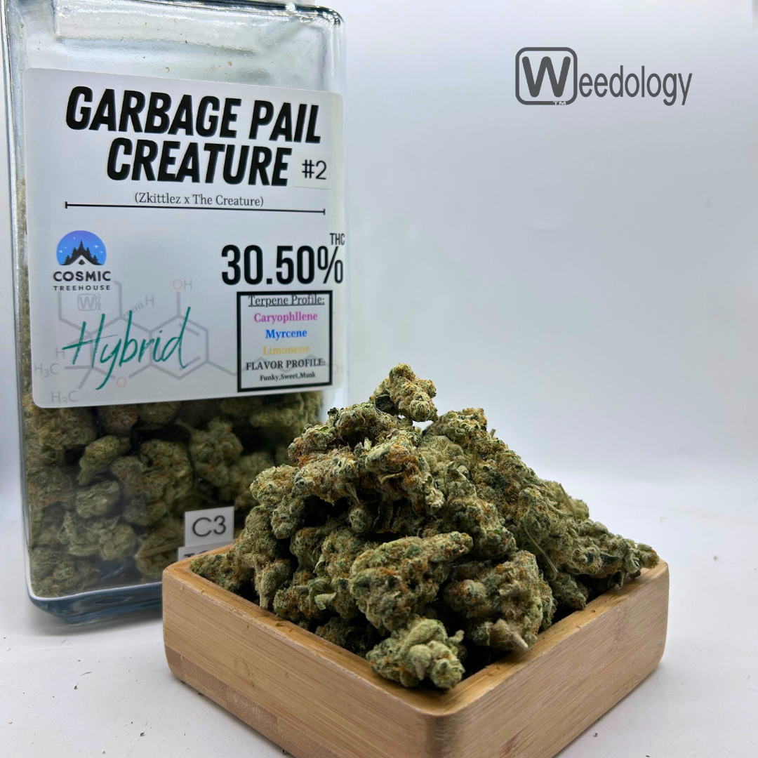 Photograph of product: Garbage Pail Creature #2 (H). - 1g