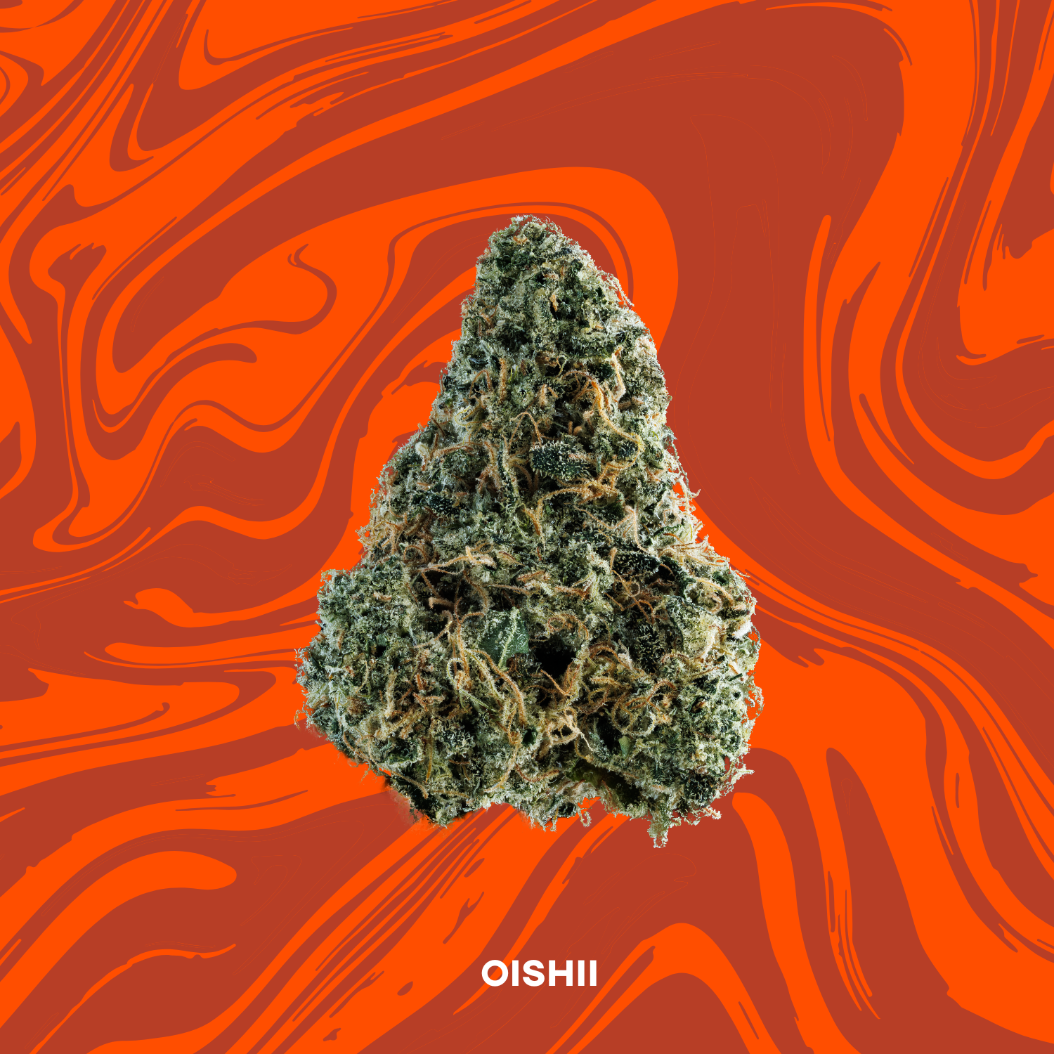 Photograph of product: 3.5g | Oishii