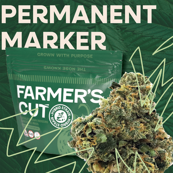 Photograph of product: Permanent Marker Flower | 3.5g - Farmer's Cut
