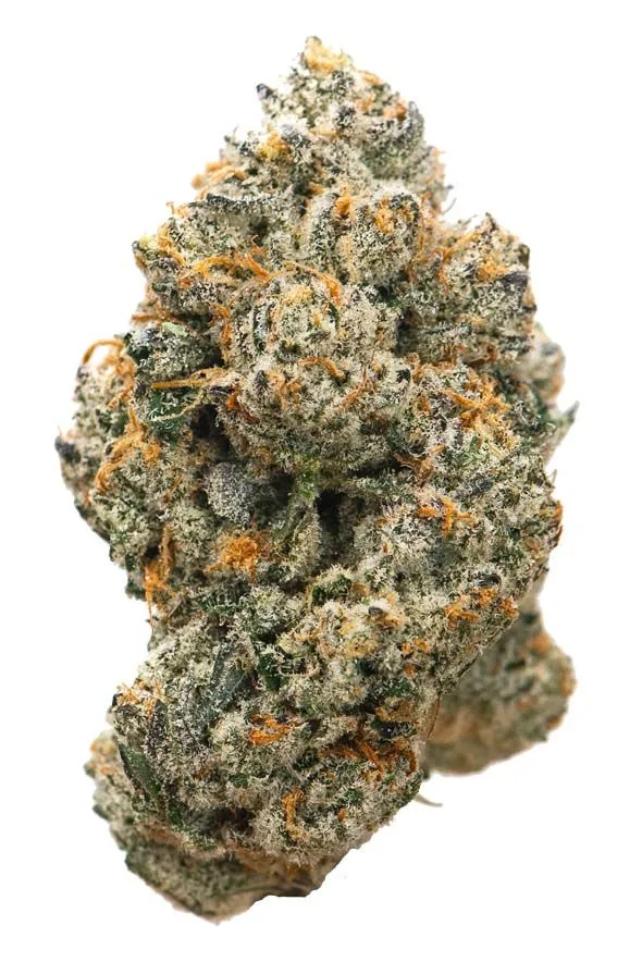 Photograph of product: Sour Don - 14g